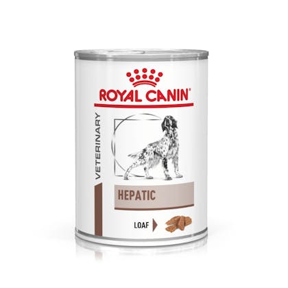 VHN-eRetail Full Kit-Hero-Images-Gastrointestinal Hepatic 420g Dog Wet-B1