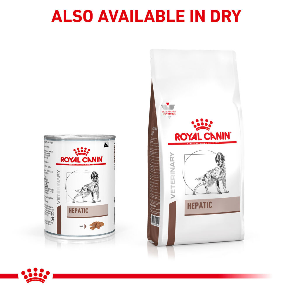 Royal canin hepatic canned sale