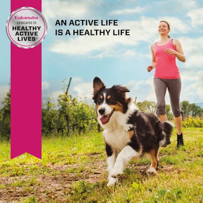 Eukanuba-CORE-Hero Image-Active Life-Senior Small Breed Chicken-ANZ