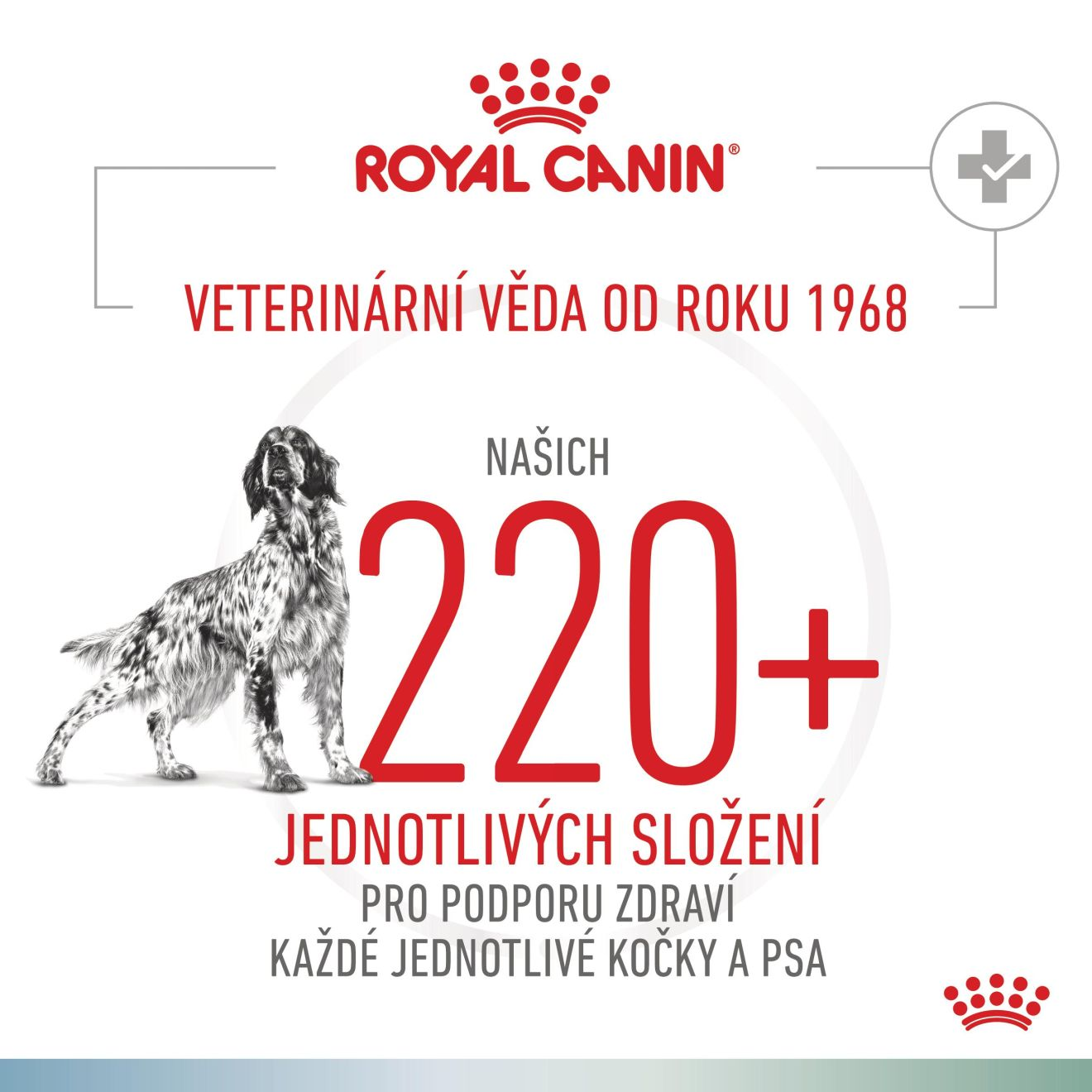 VHN Dog CA Hypoallergenic - Satiety