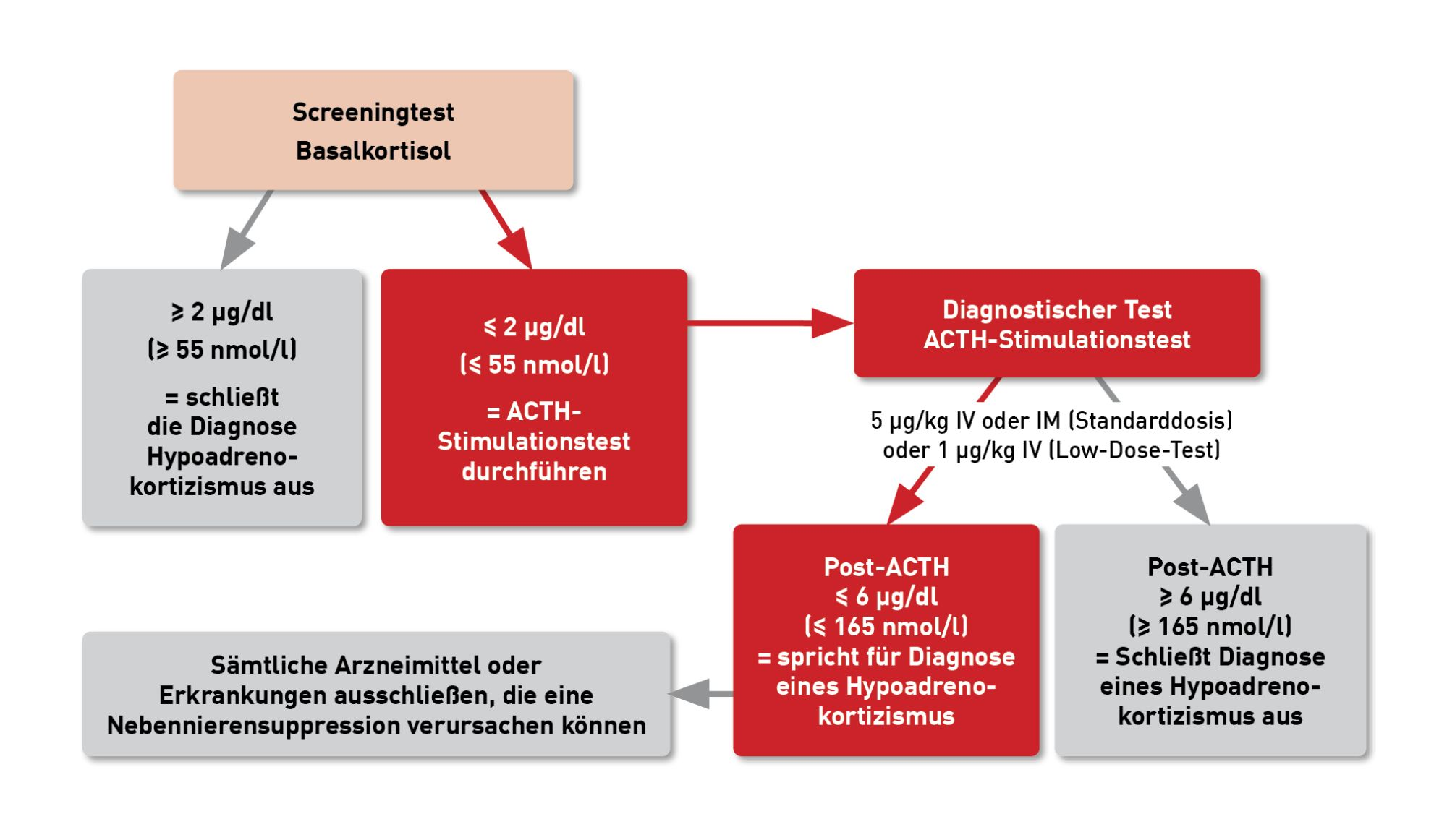Diagnostischer Algorithmus für endokrinologische Tests bei Hunden mit Verdacht auf Hypoadrenokortizismus