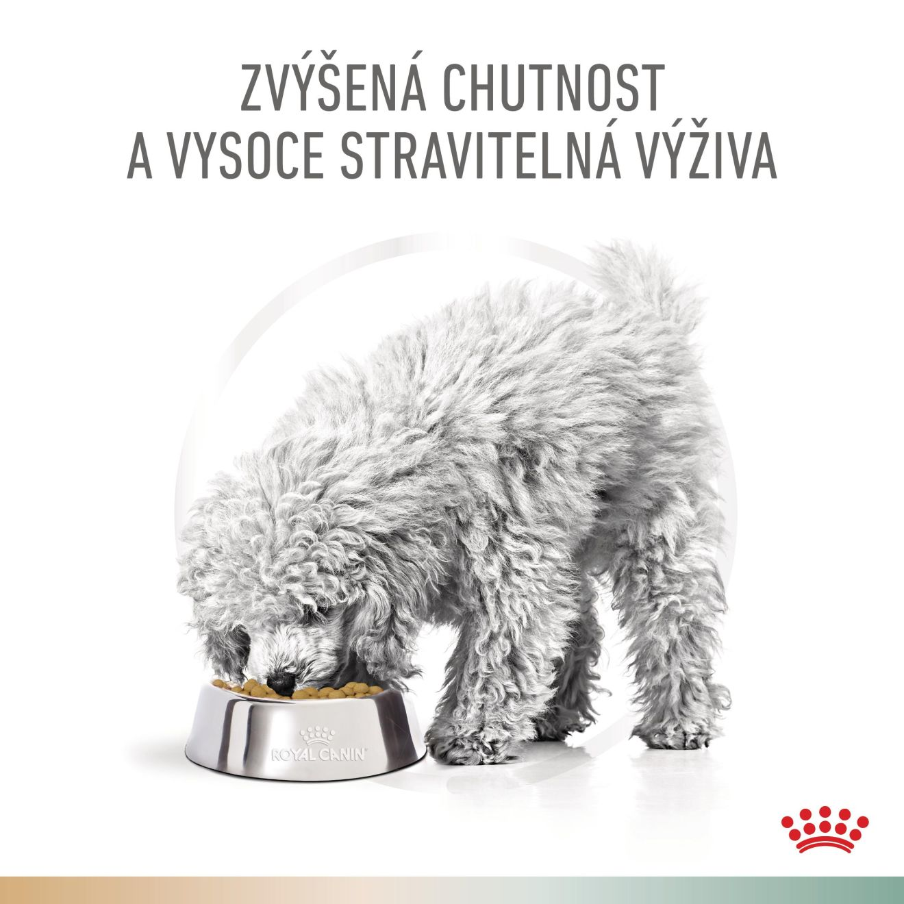 VHN Dog CA Urinary S/O-Satiety