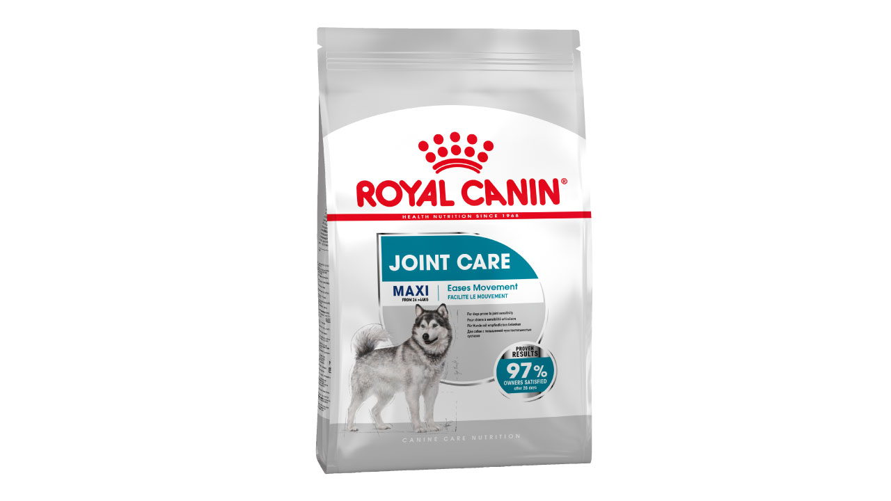Canine care nutrition joint care pack shot