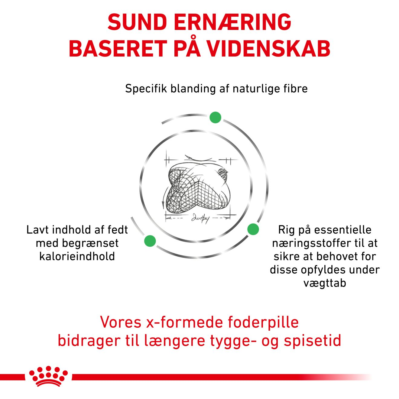 Weight Management Satiety 