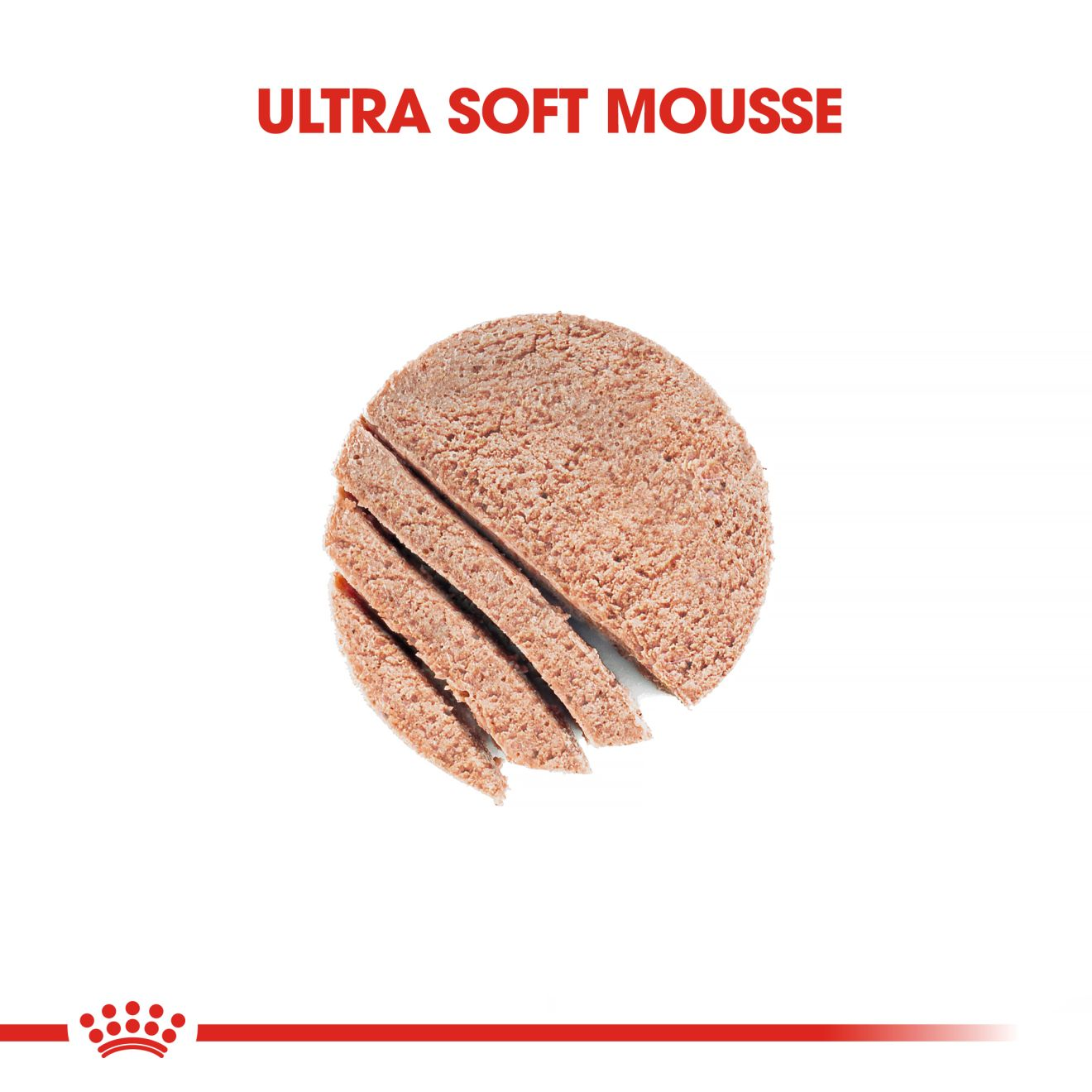 Mother and babycat outlet mousse