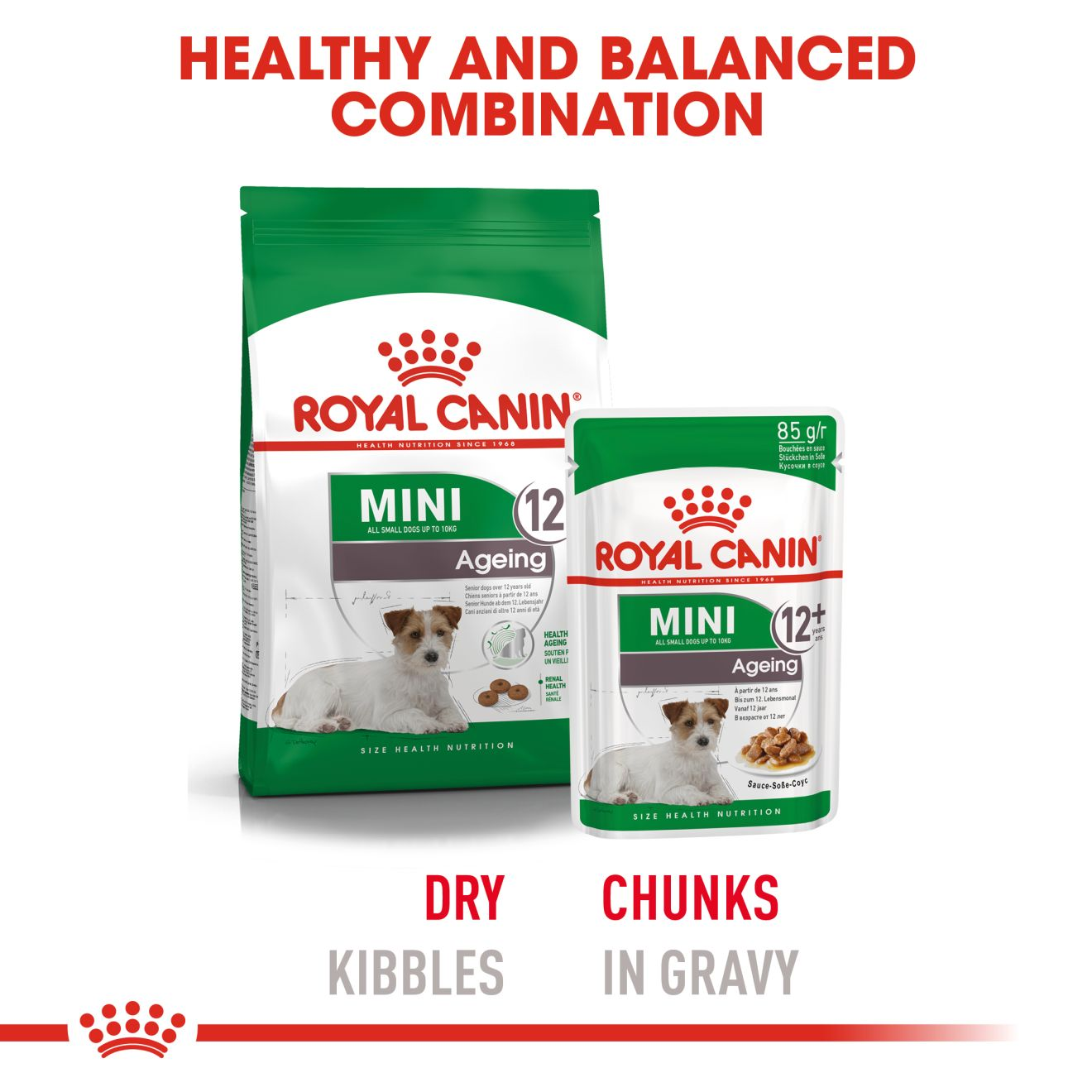 Royal canin senior clearance dog