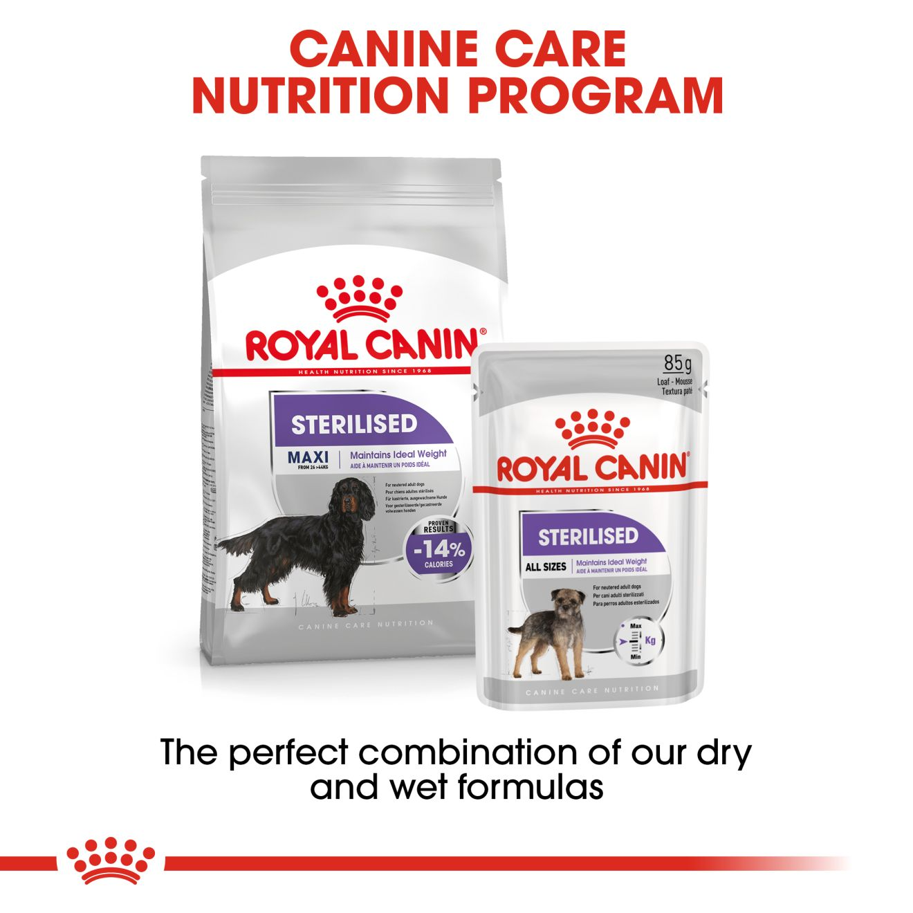 Sterilised dog outlet food