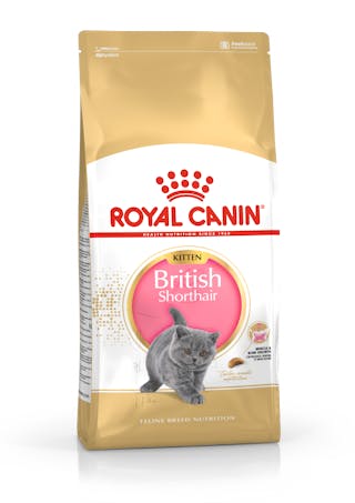 BSK38 英國短毛幼貓專用乾糧
