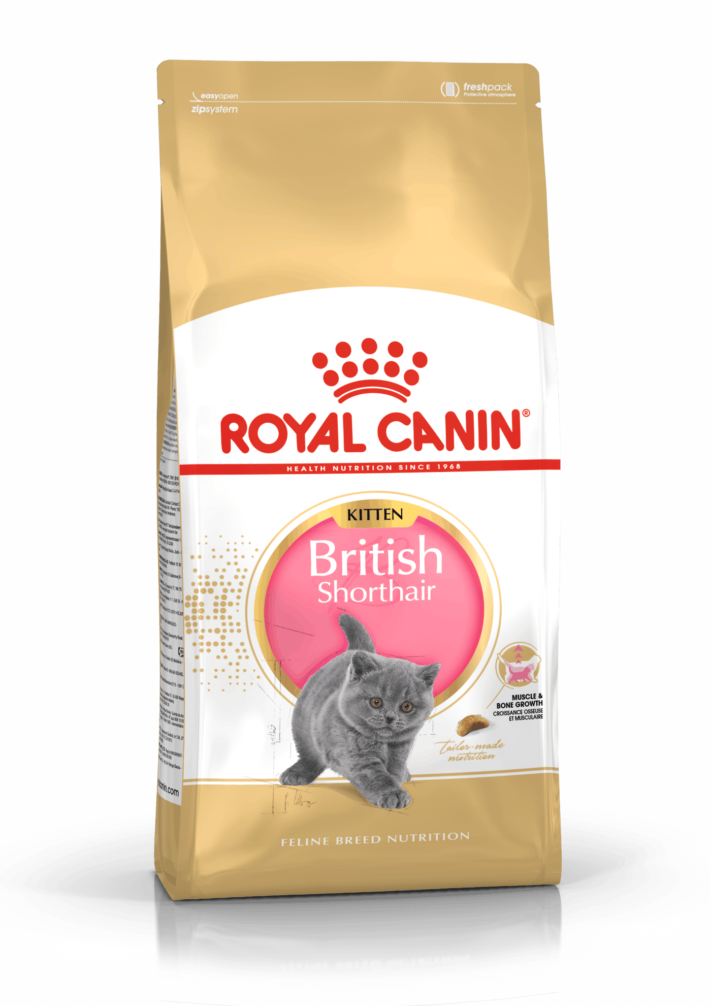 British Shorthair Kitten dry | Royal Canin