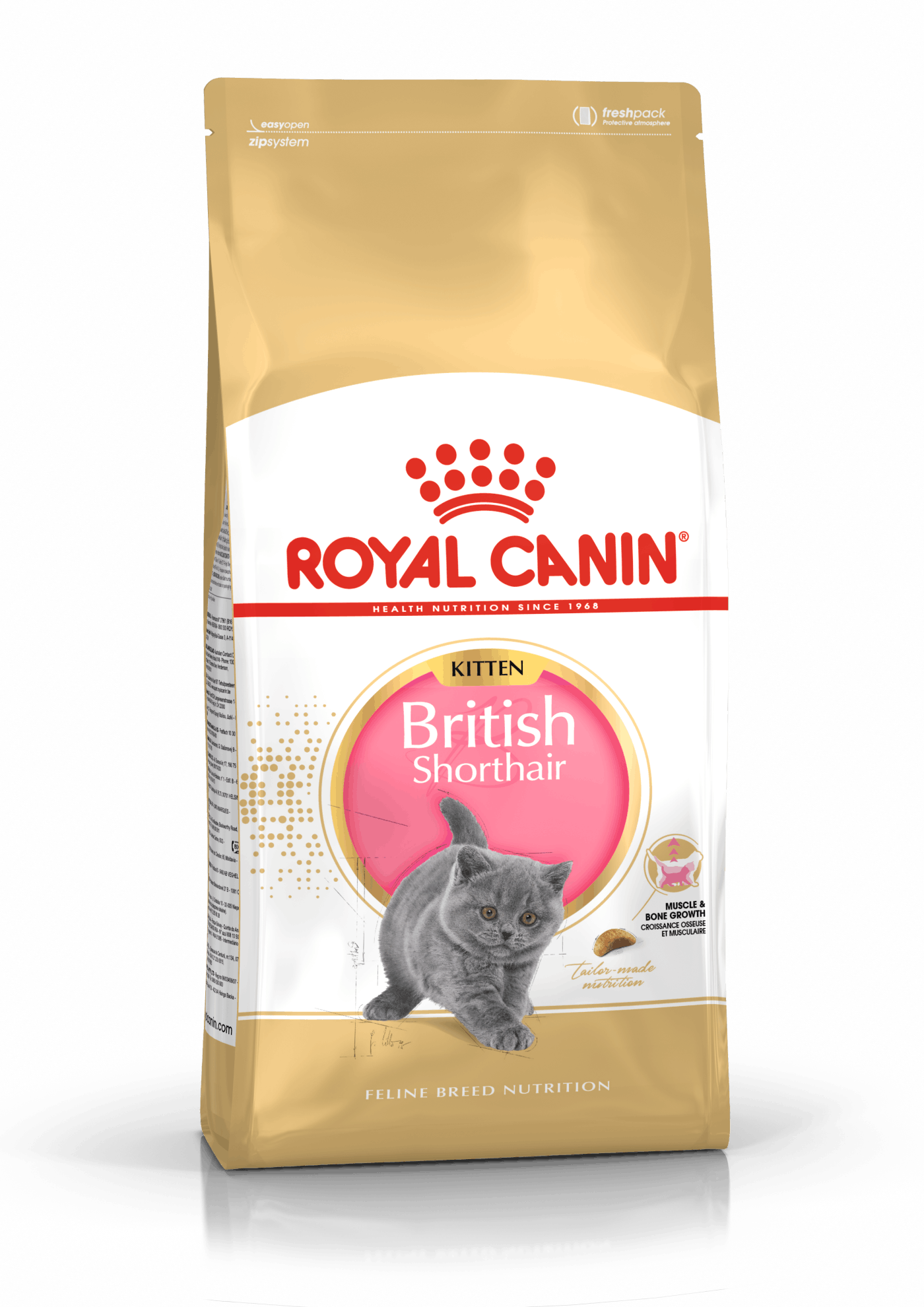 British Shorthair Kitten Cat Retail Products Royal Canin Shop