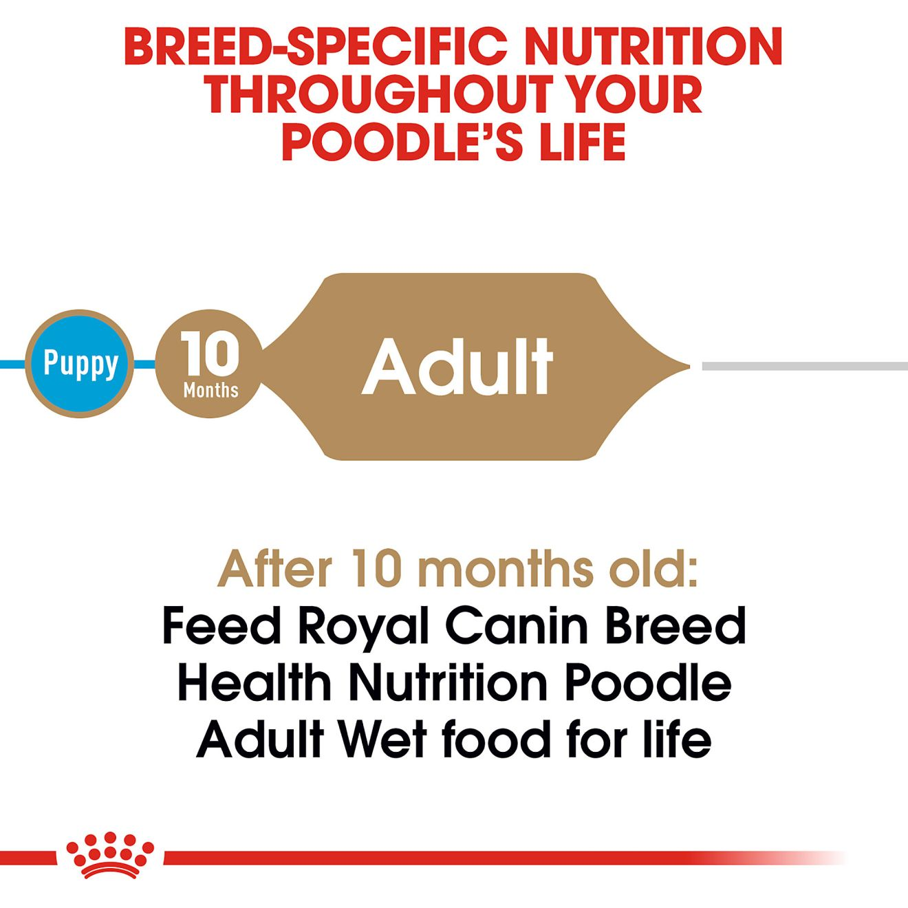 Poodle Adult Loaf in Sauce Canned Dog Food