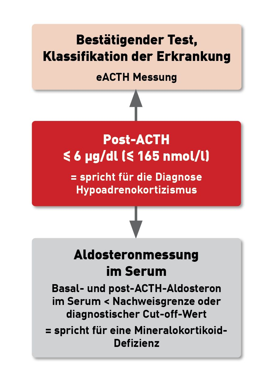 Diagnostischer Algorithmus für die weitere Beurteilung des Nebennierenhormonstatus bei Hunden mit atypischem Hypoadrenokortizismus