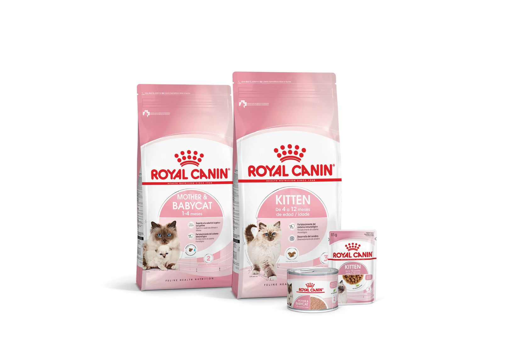 Programa de Crecimiento para gatitos de Royal Canin - Fórmulas Kitten
