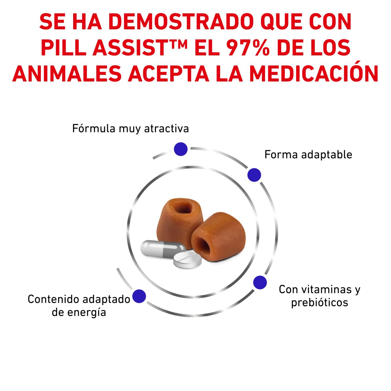 PILL ASSIST MEDIUM/LARGE DOG