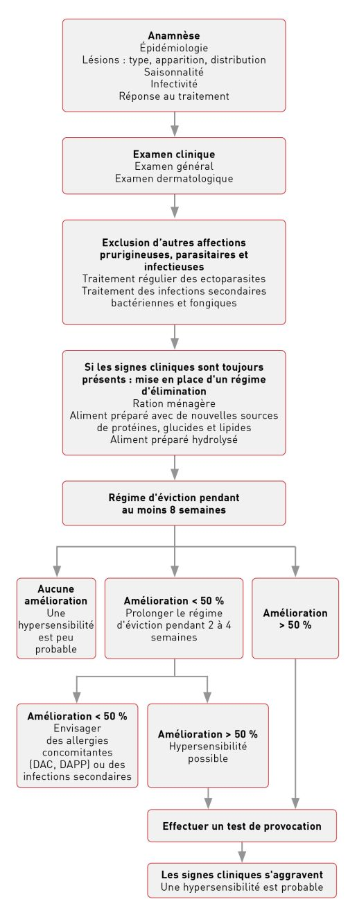 Diagramme schématique du diagnostic différentiel.