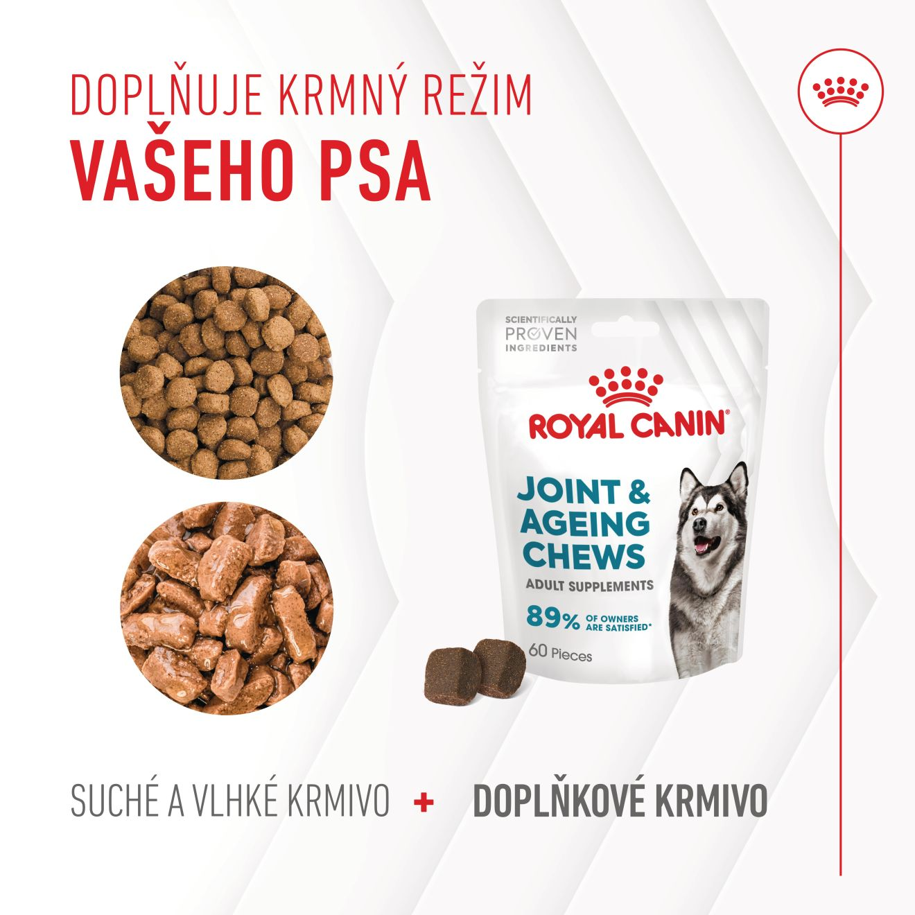  Supplement Dog Joint & ageing chews