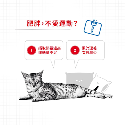 Royal-Canin_成貓體重控制加護配方_正方形_HK_02