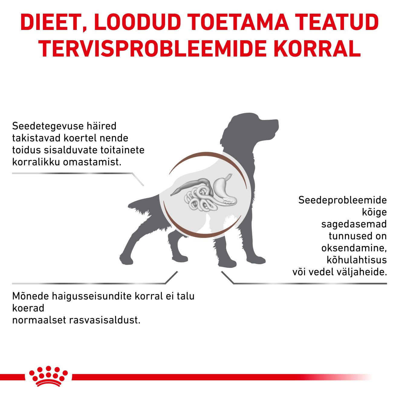 Royal Canin Gastrointestinal Low Fat Dog kuivtoit
