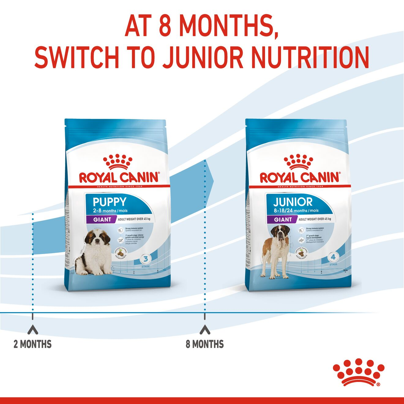 Royal canin giant 2024 puppy feeding guide