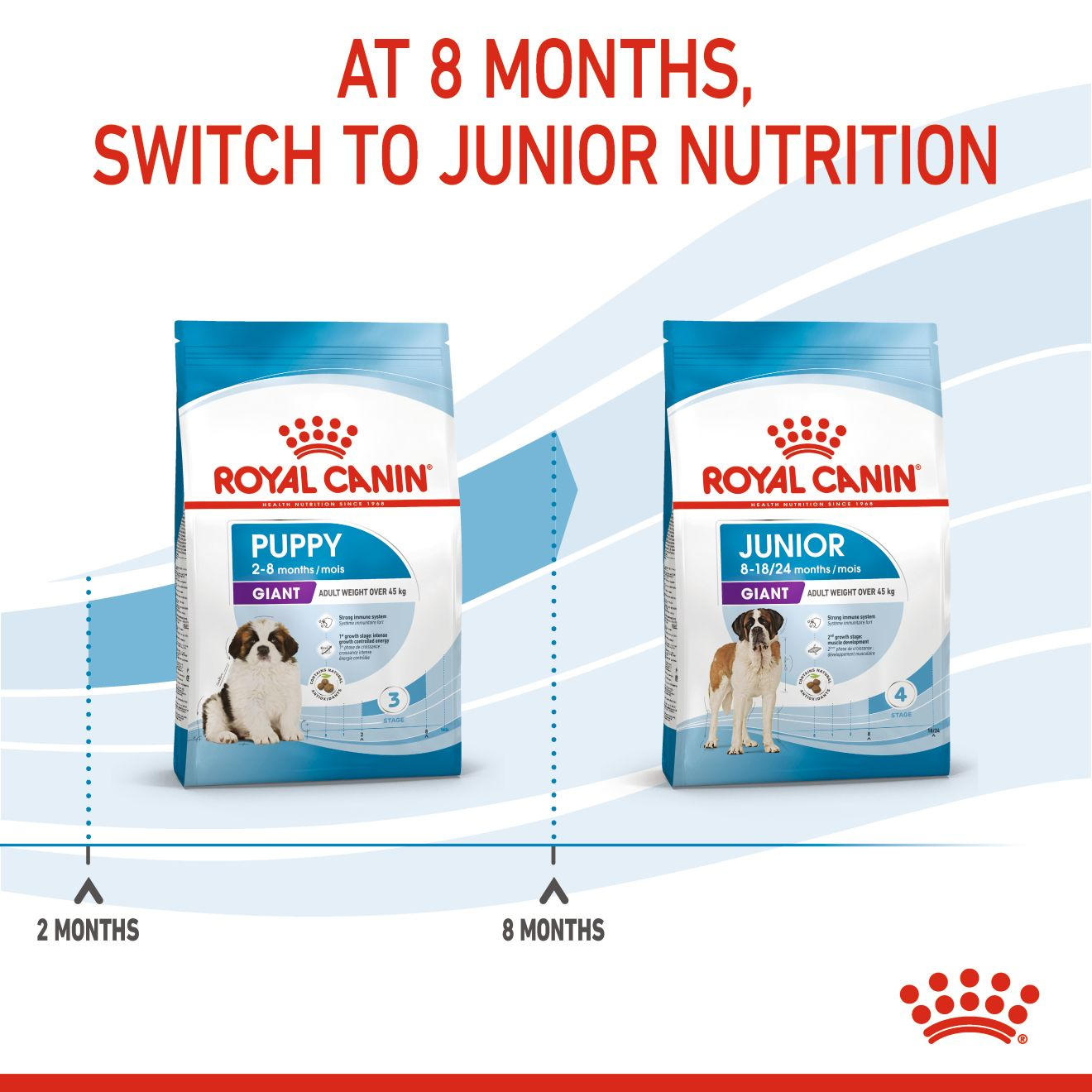 Royal canin giant hot sale junior dog food