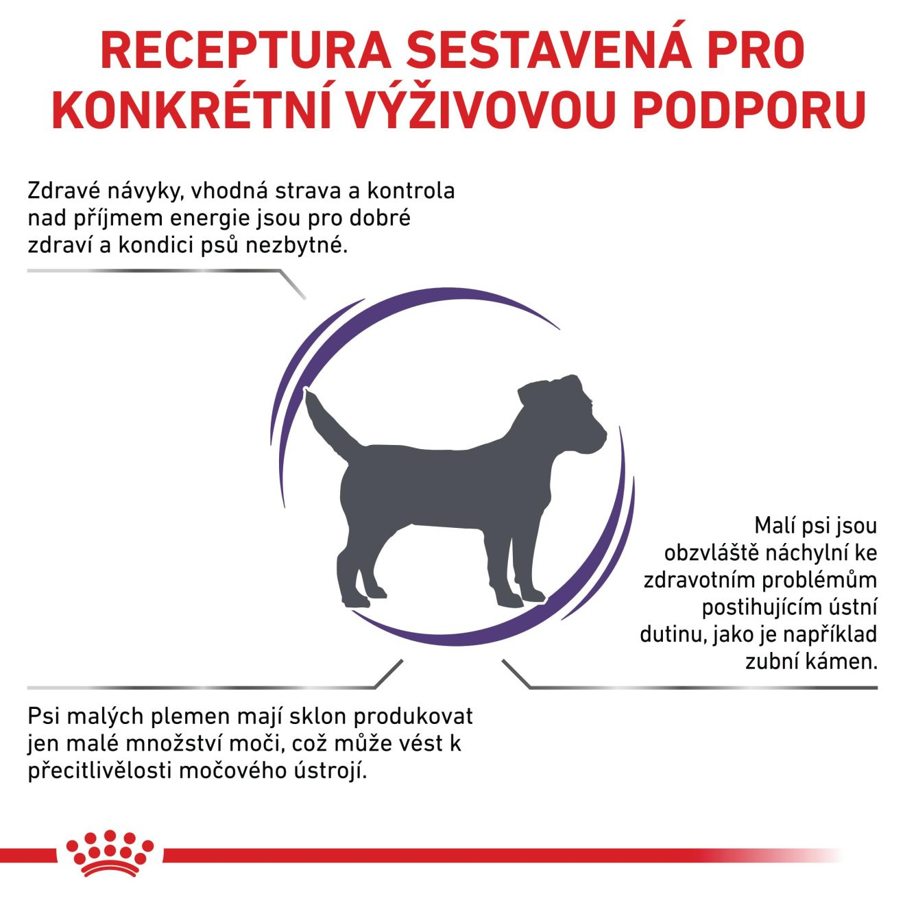 VHN Adult small dog 