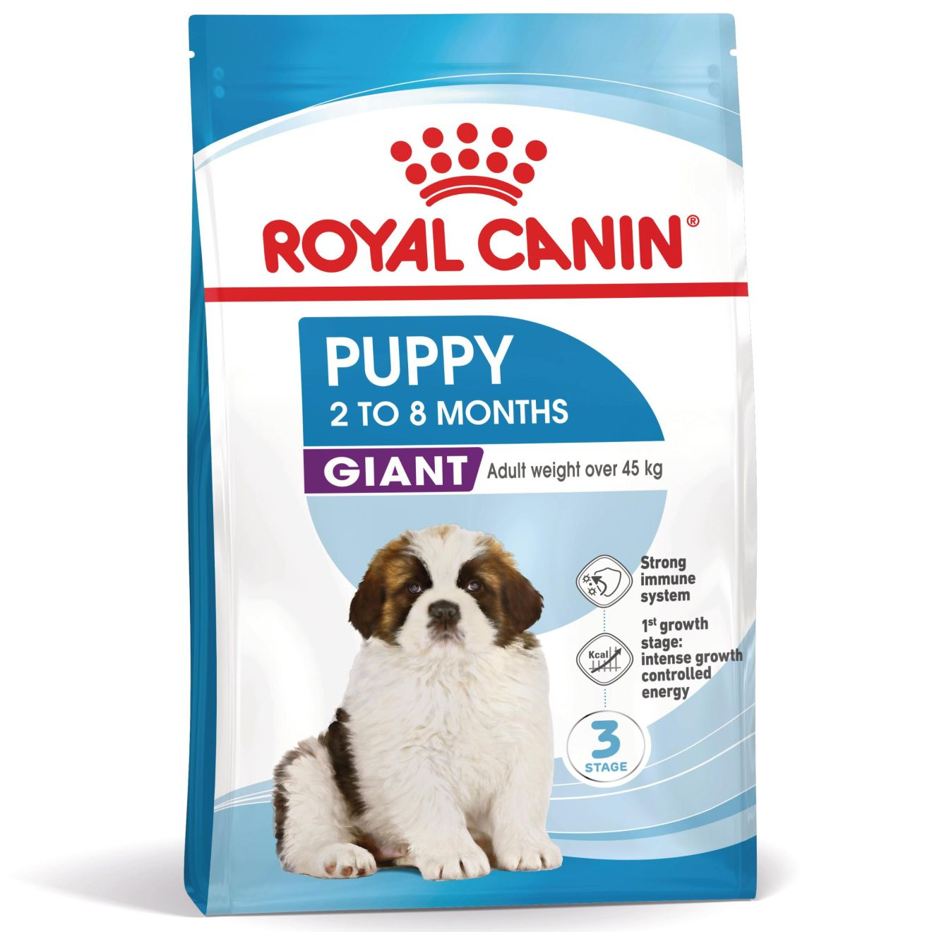 Ggiant puppy