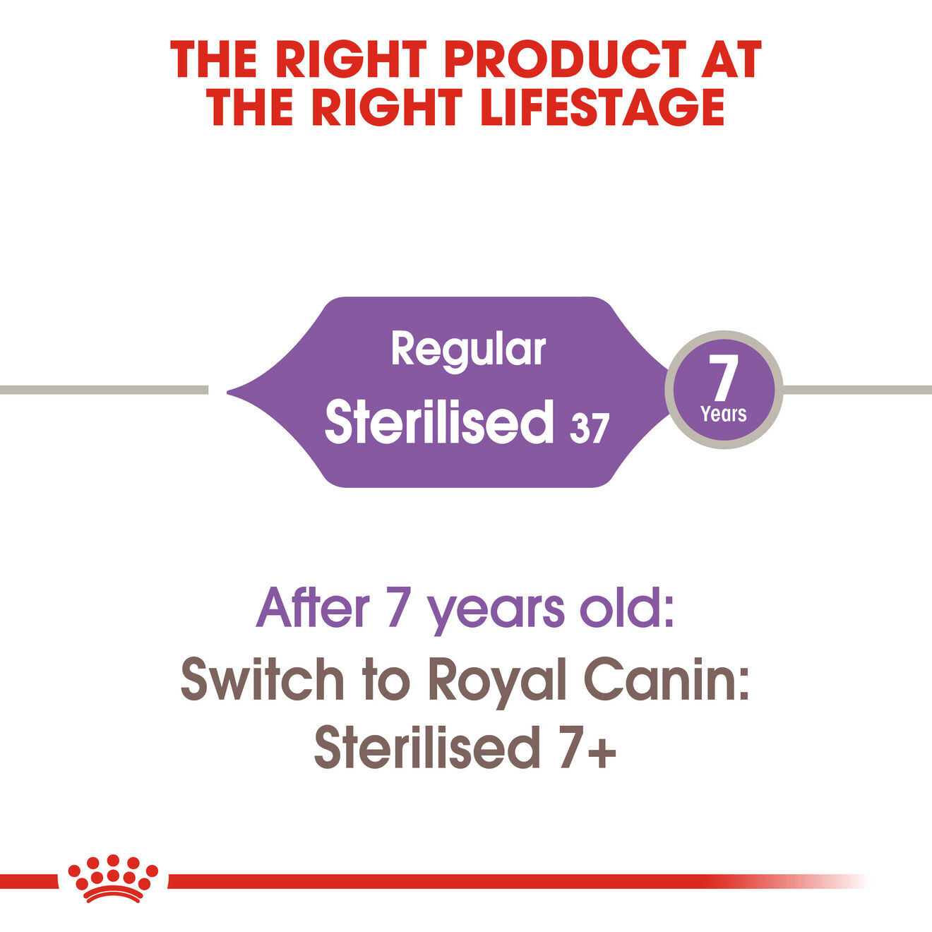 Sterilized 37 hotsell royal canin