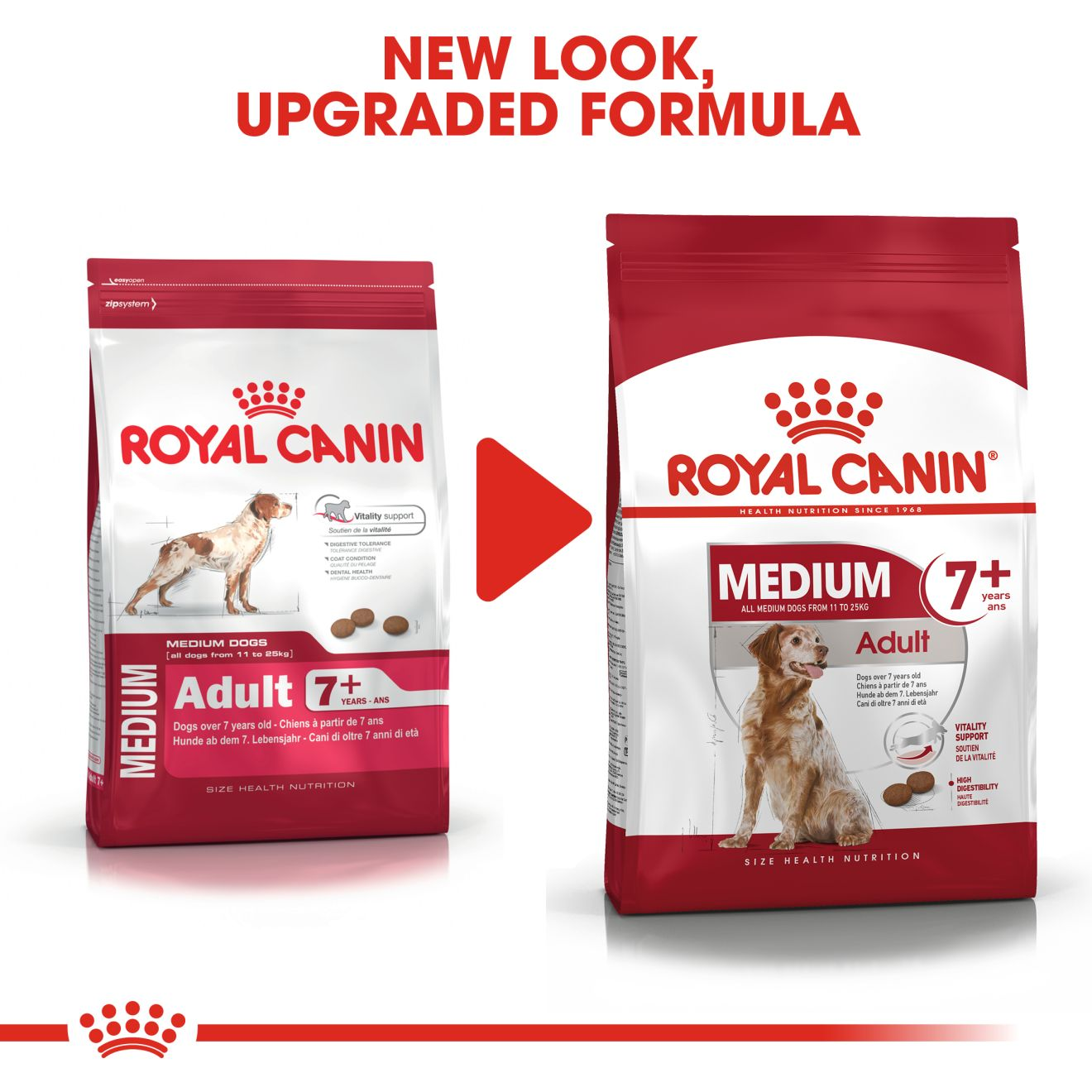 Royal canin sale shn medium adult