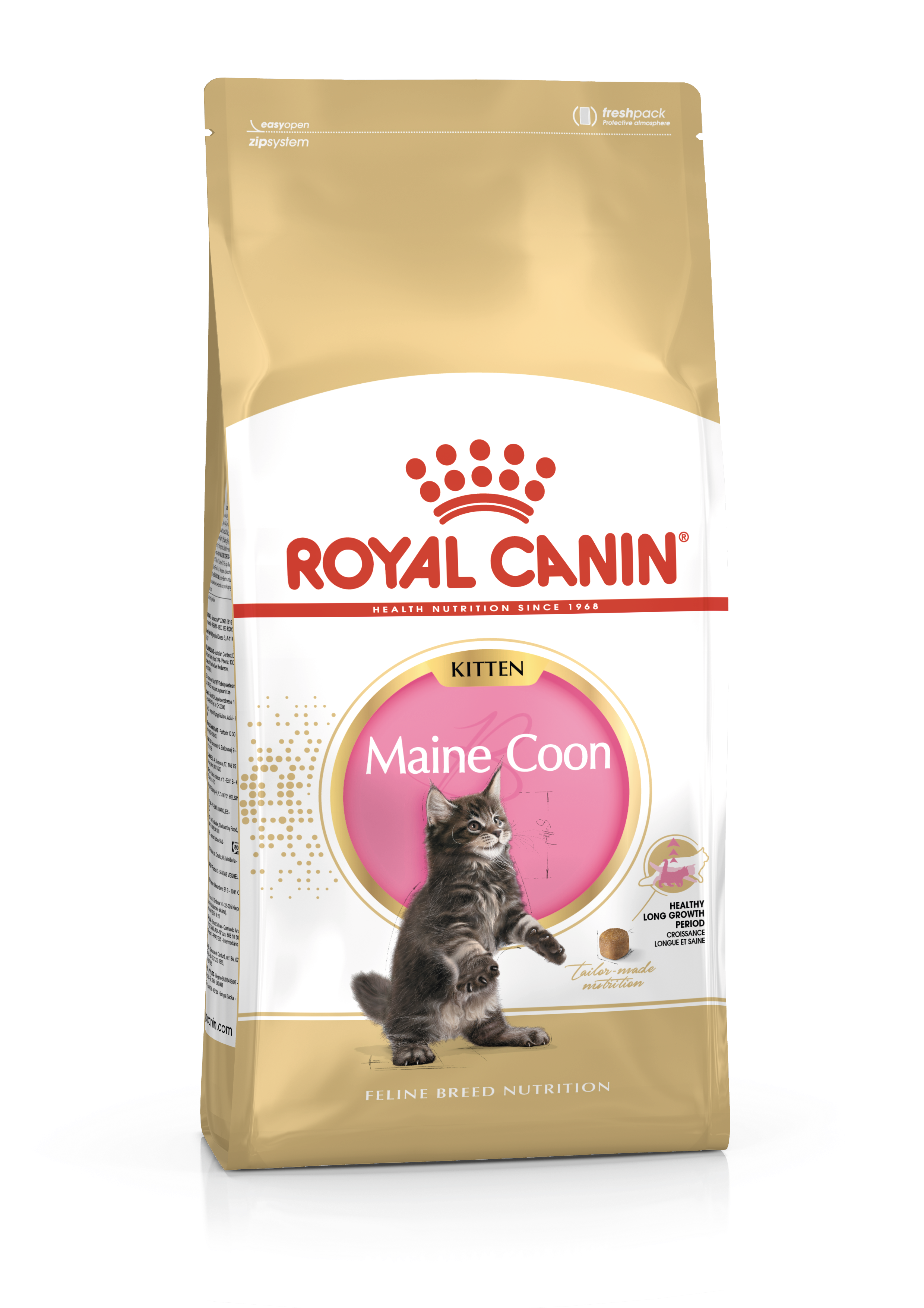 Maine Coon Adult Trocken Royal Canin