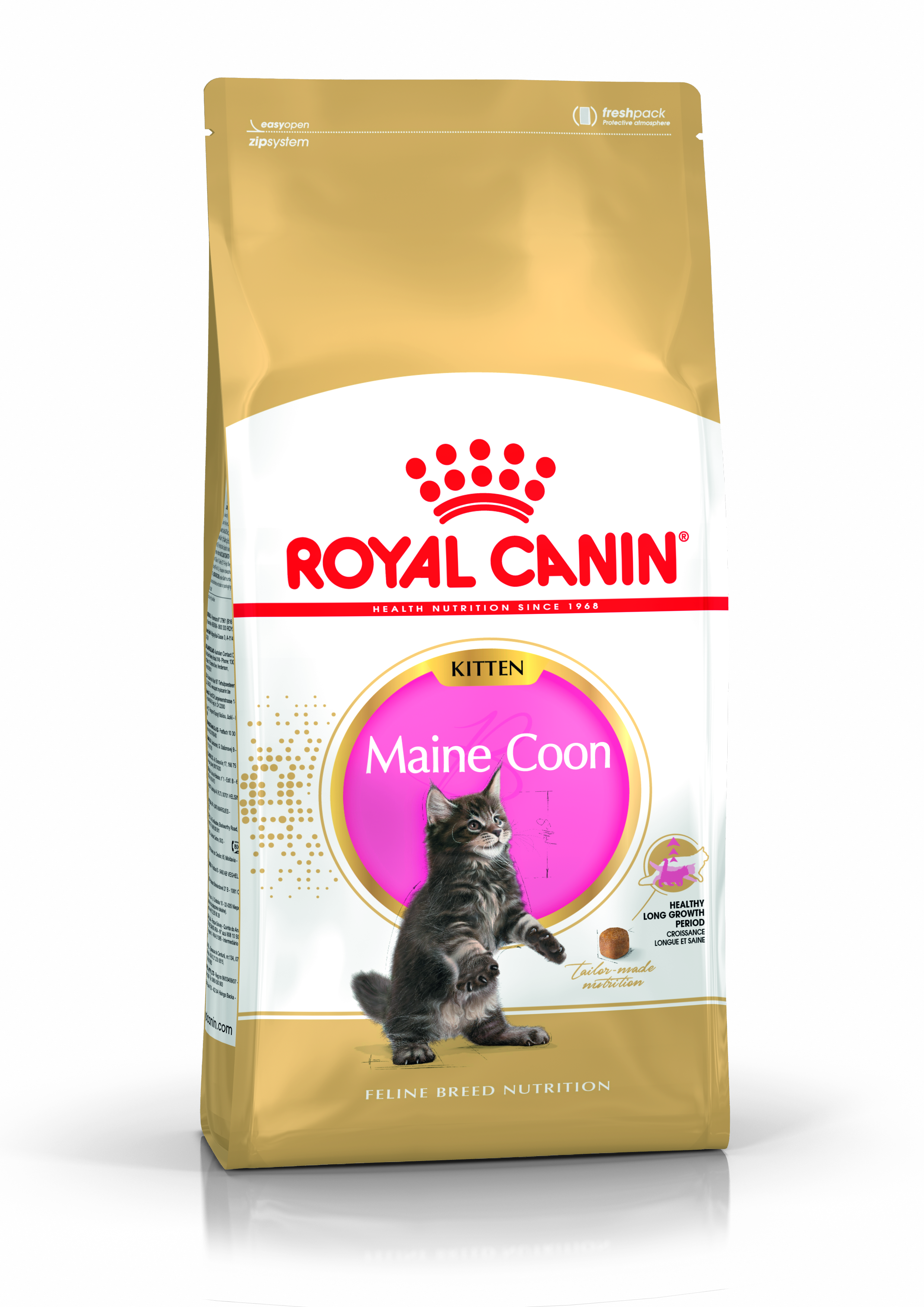 Maine Coon Katze Royal Canin