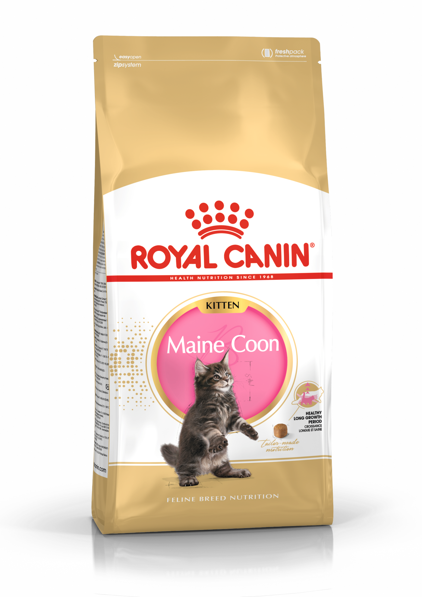 Speels Baron Geologie Maine Coon Kitten dry | Royal Canin
