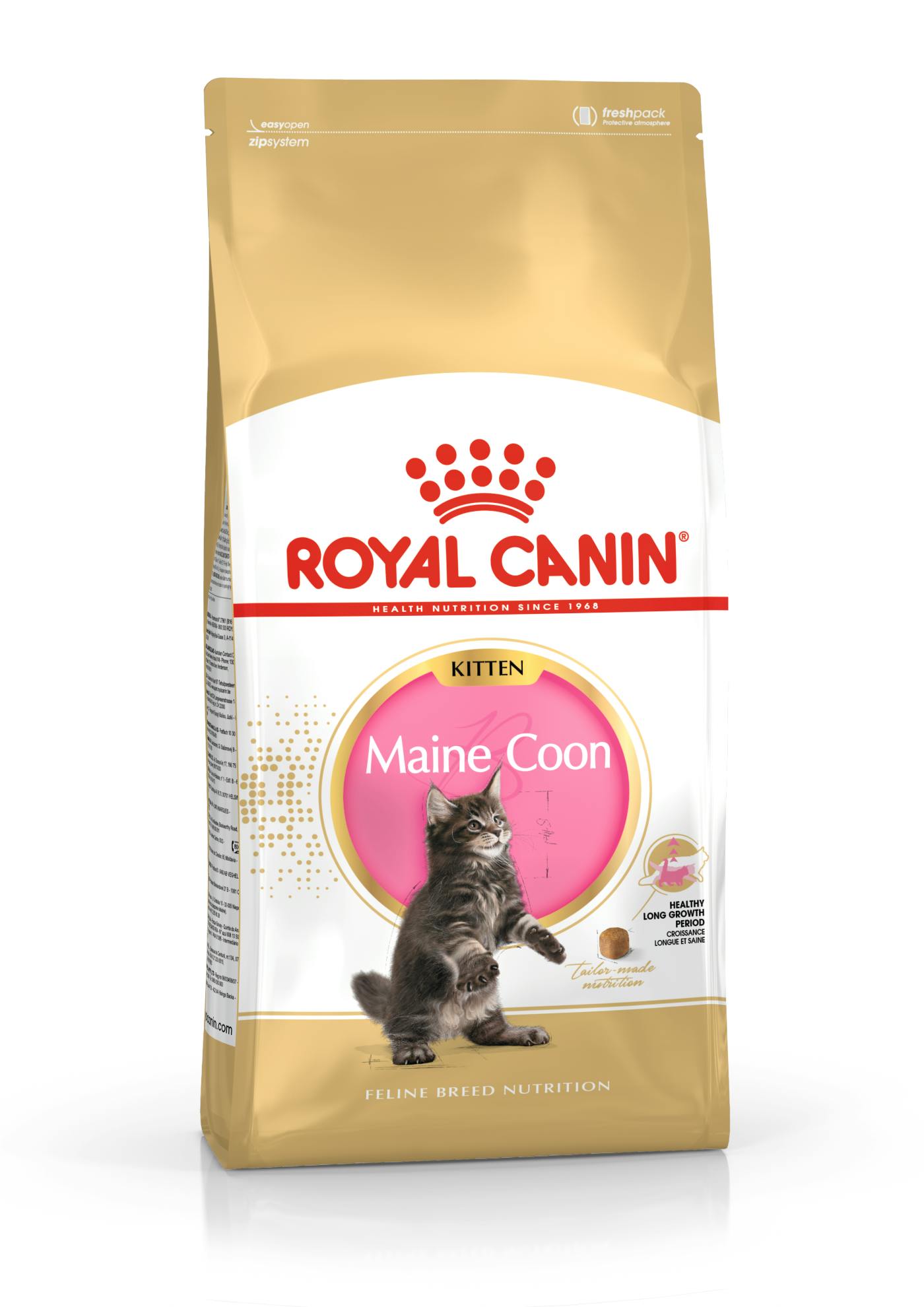 Staan voor toonhoogte voetstuk Maine Coon Kitten dry | Royal Canin