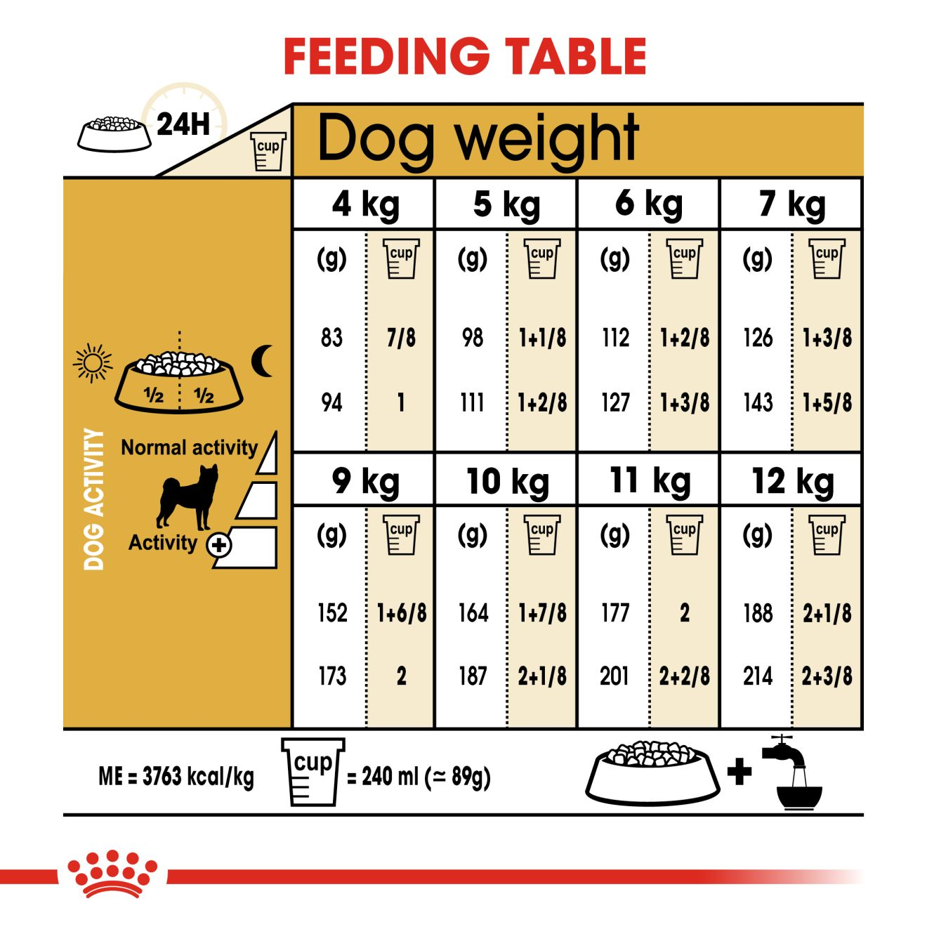 Shiba Inu Adult