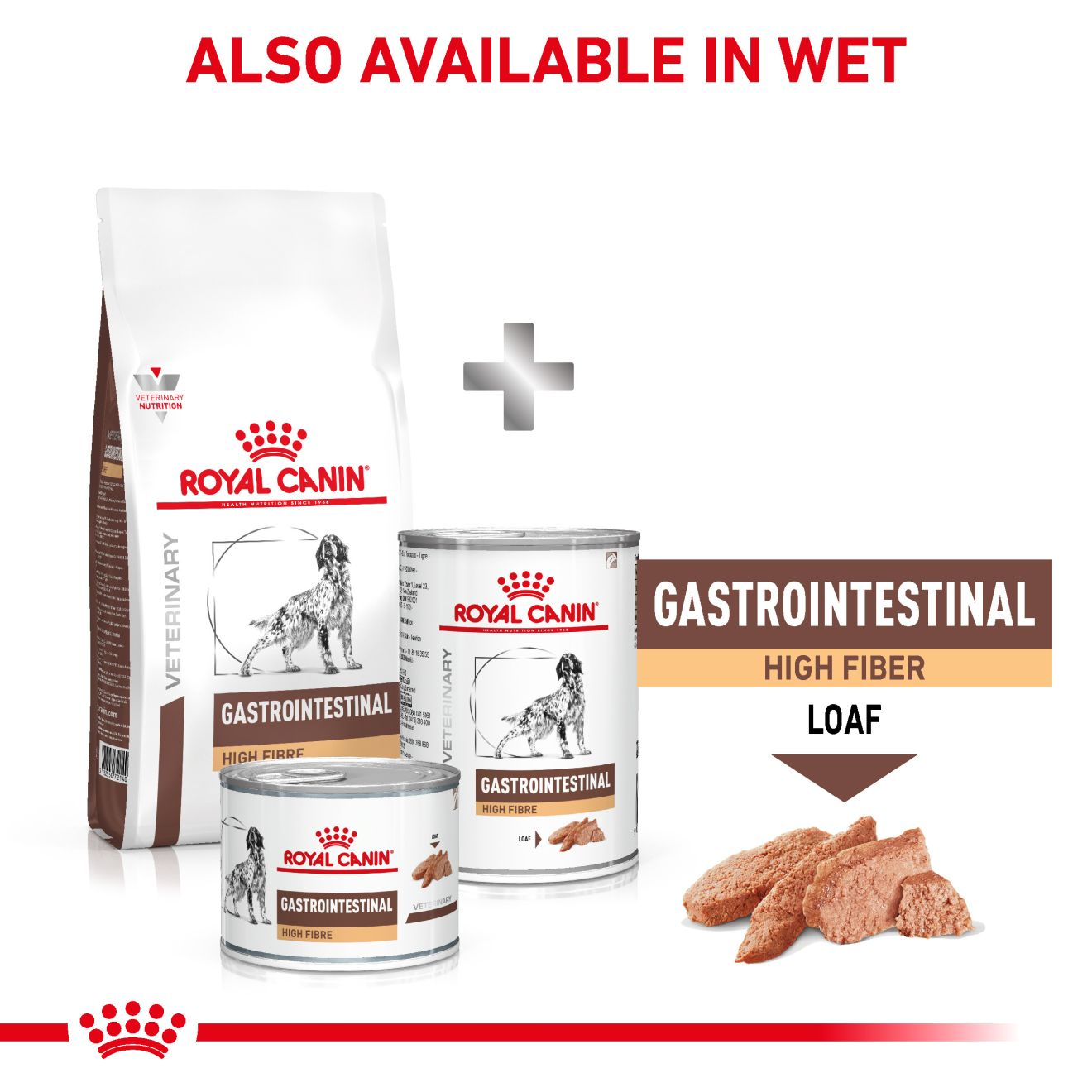 Gastrointestinal High Fibre Perro | Royal Canin CO