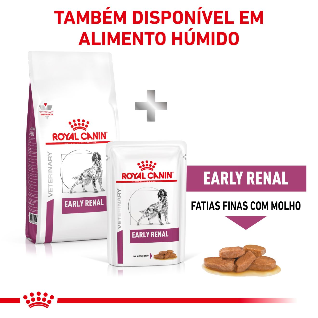 Early Renal