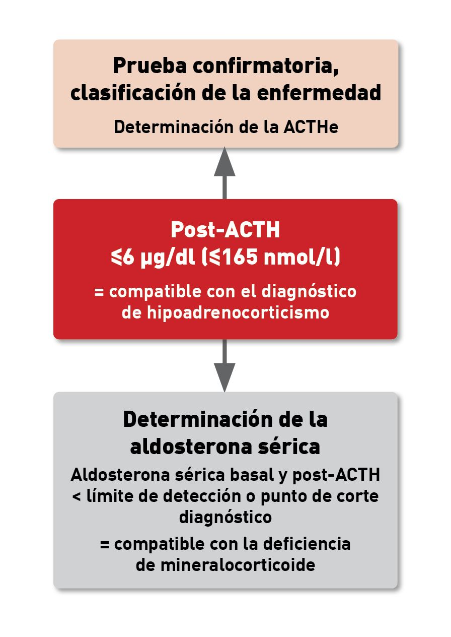 Diagrama de decisión para la evaluación adicional de las hormonas adrenales en perros con hipoadrenocorticismo atípico