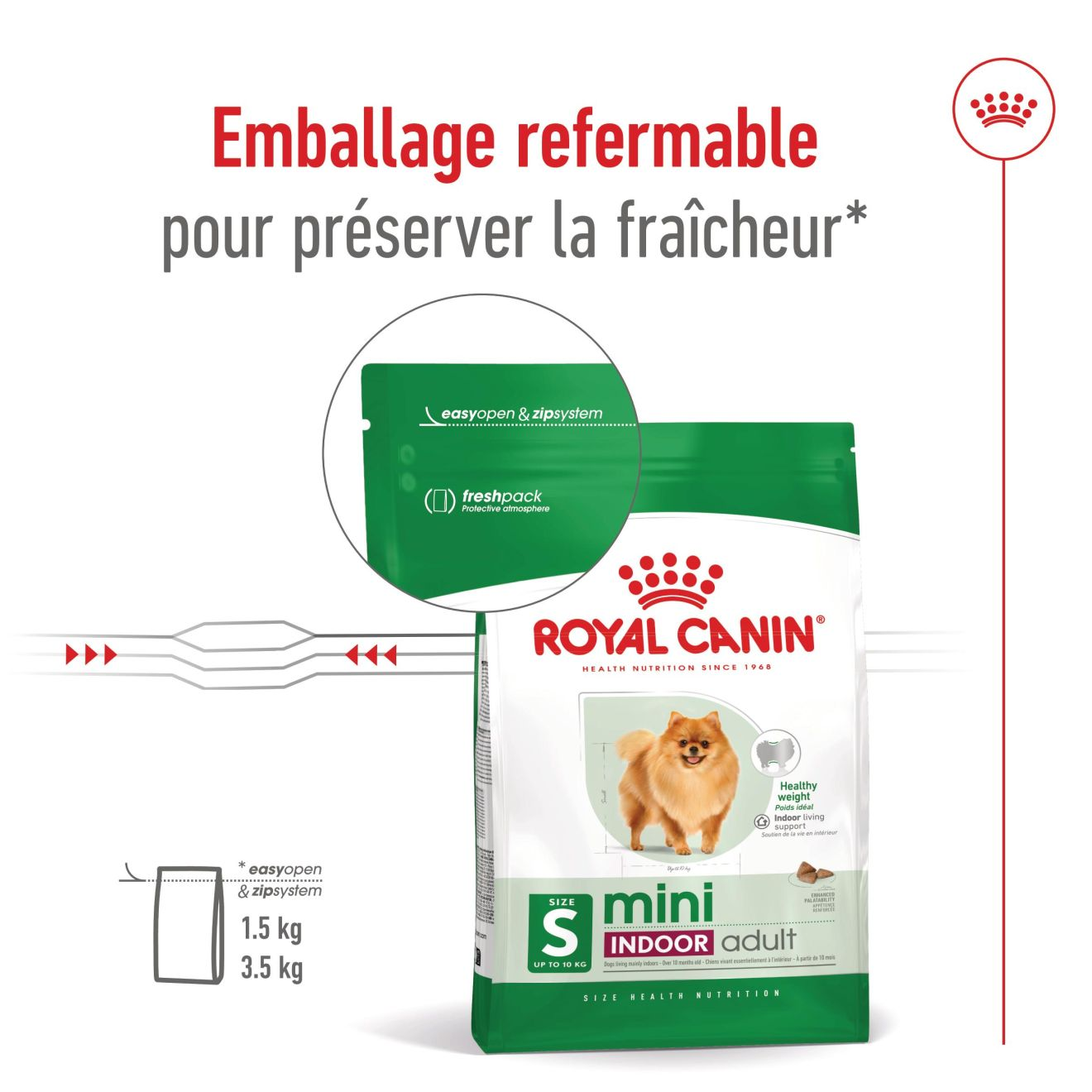 Mini Indoor Adulte