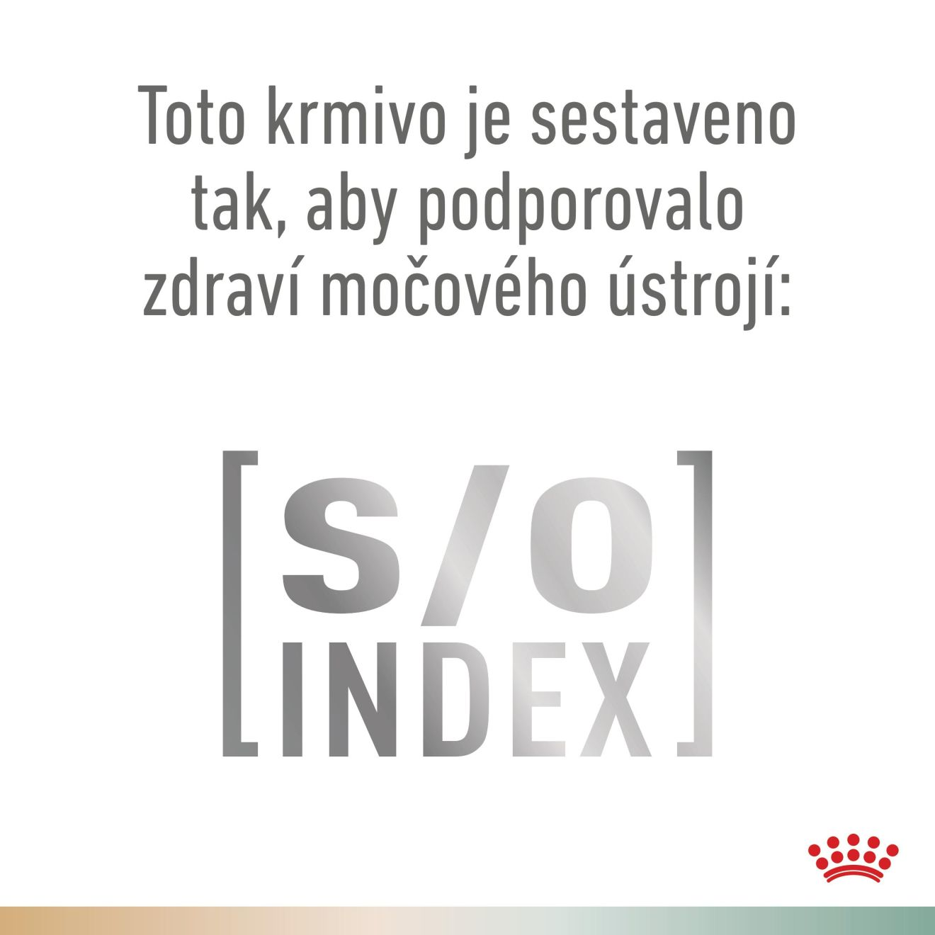 VHN Dog CA Urinary S/O-Satiety