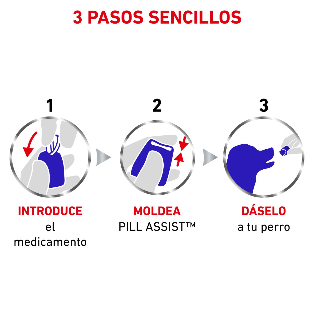 PILL ASSIST MEDIUM/LARGE DOG