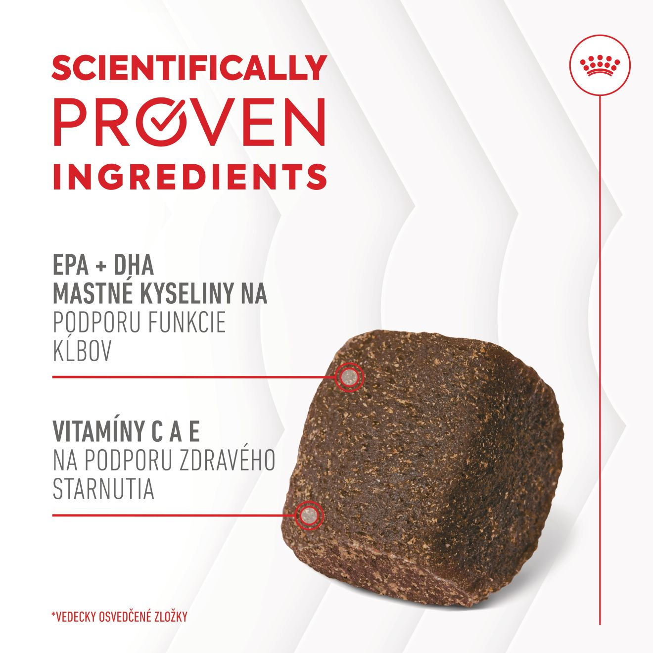 Supplement Dog Joint & Ageing chews