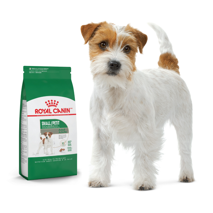 ROYAL CANIN DOG, SHN, X-SMALL