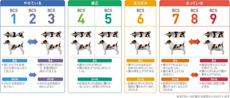 ロイヤルカナンに関する よくあるご質問 ロイヤルカナン