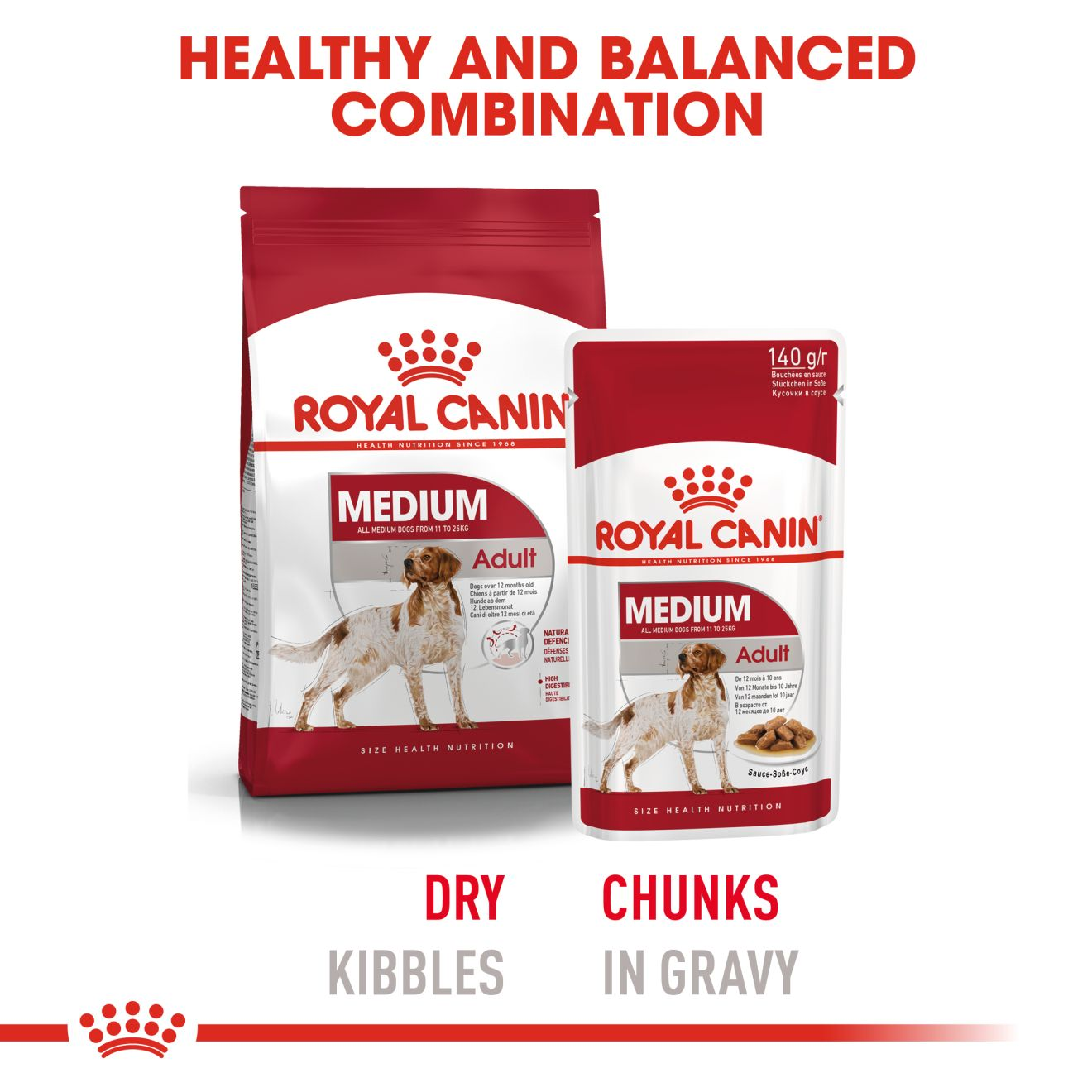 Medium Adult Royal Canin IN