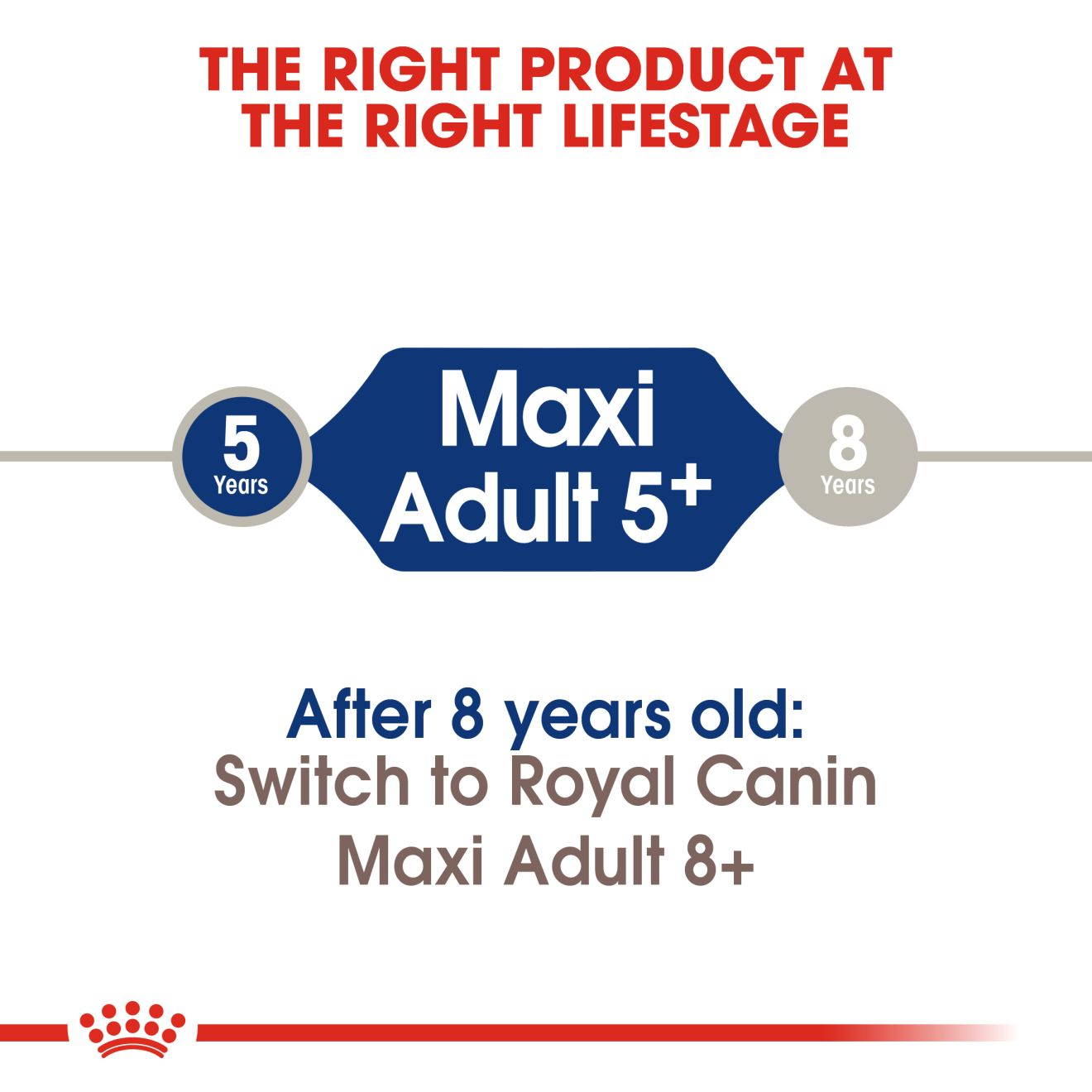 Maxi Adult 5+