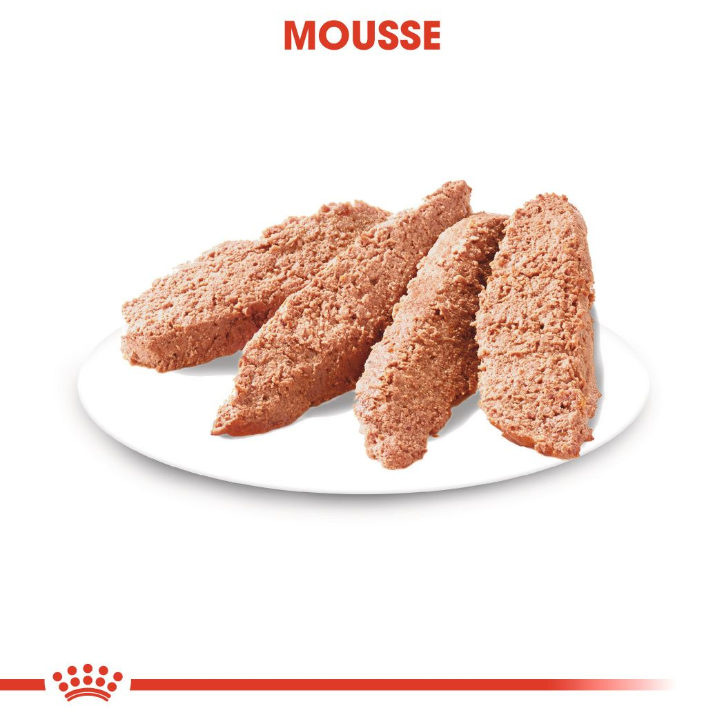 LIGHT WEIGHT CARE Mousse