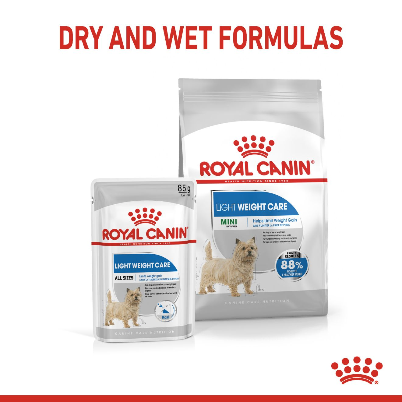 royal canin mini light dog food 8kg