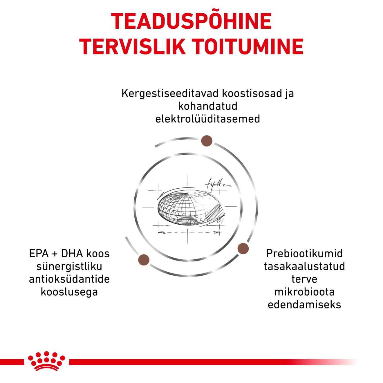 Royal Canin Gastrointestinal Moderate Calorie Dog kuivtoit