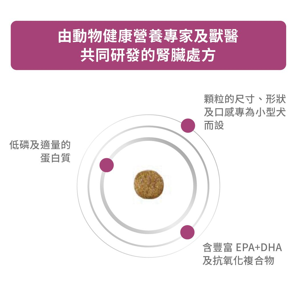 小型成犬腎臟處方