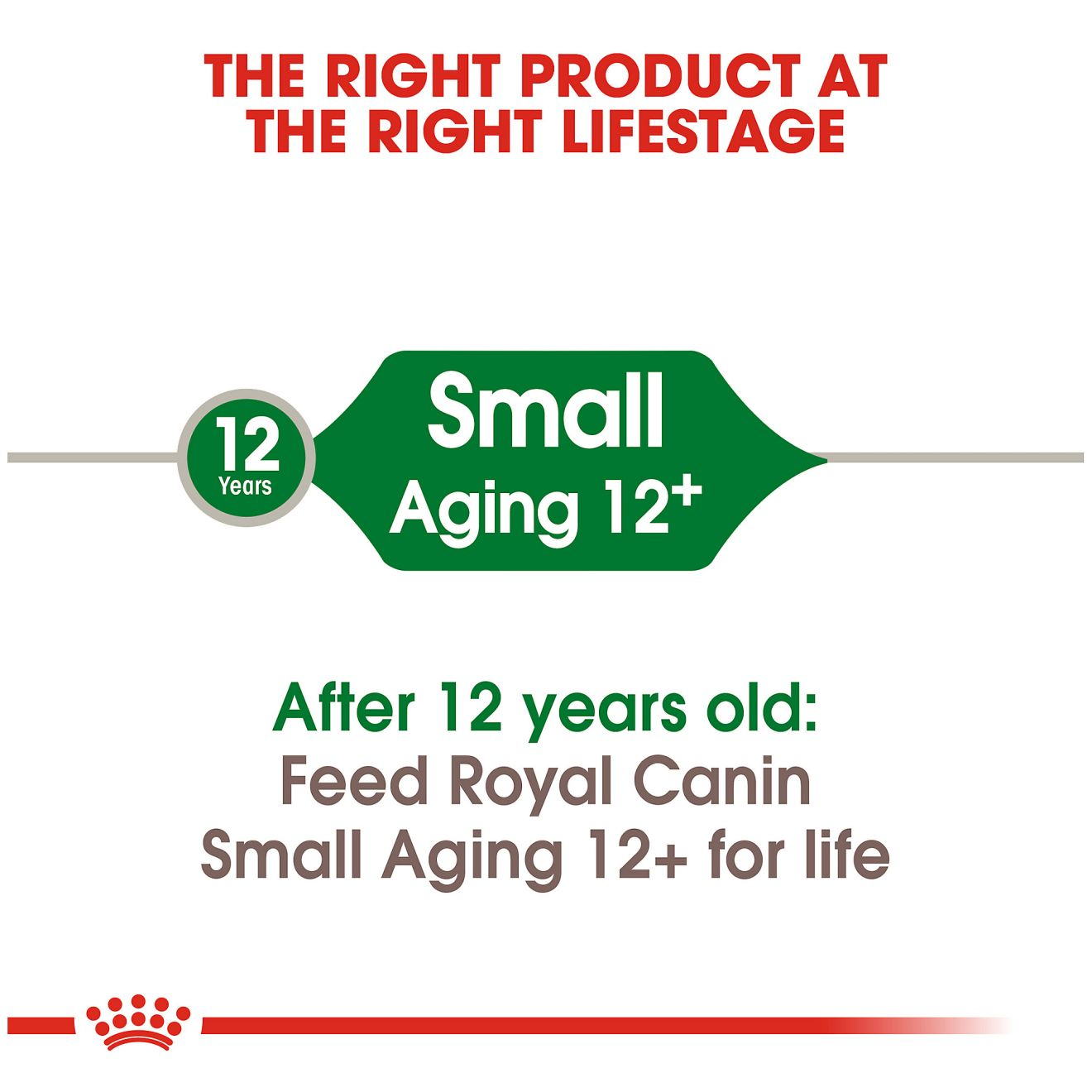 Small Aging 12+