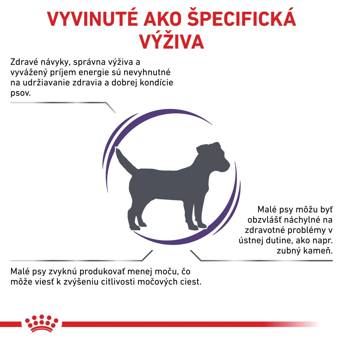 VHN Adult small dog